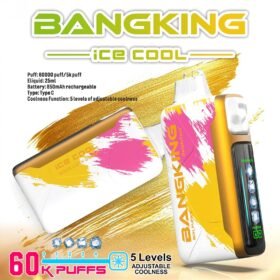 Bang King Ice Cool 60K | 60,000 puffs disposable vape with adjustable coolness