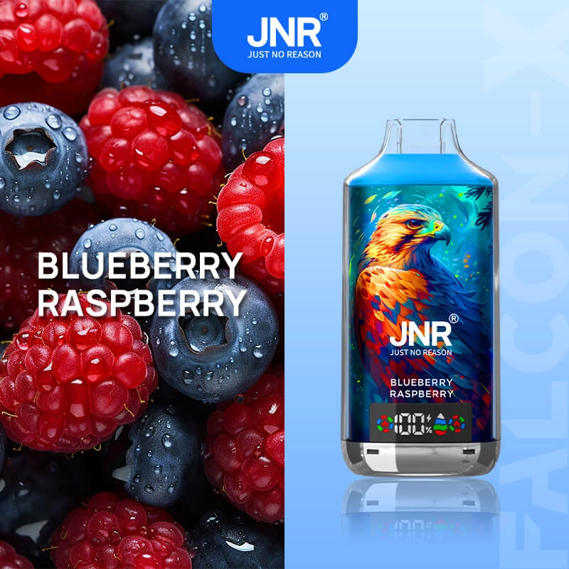 JNR 18k Puffs Blueberry Raspberry Disposable Vape, 18000 Puffs Berry Flavor E-Cigarette