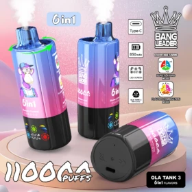 Bang Leader 110K Puffs | 6 flavor modes smart disposable vape with led screen