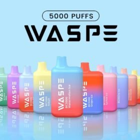 WASPE 5000 Puffs | 13mL, 0%-5% nicotine, bulk disposable vape