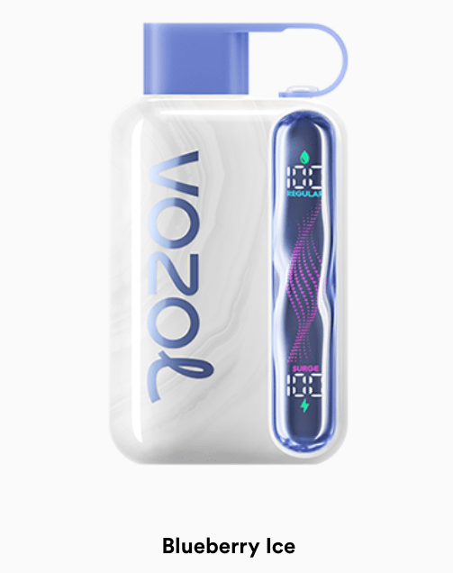 Vozol Star 40000 Puffs | dual mode 40000 puffs bulk disposable vape with wavy screen