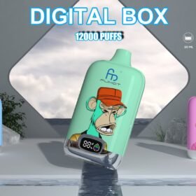 RandM Digital Box 12000 Puffs | 20mL, 850mAh, LCD screen, bulk disposable vape