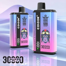 Switchable Dual Flavor Bang 30000 Puffs Disposable Electronic Cigarette