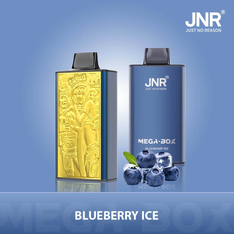 JNR Mega Box 25K Blueberry Ice Disposable Vape