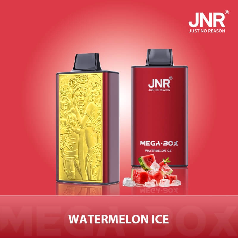 JNR Mega Box 25K Watermelon Ice Disposable Vape