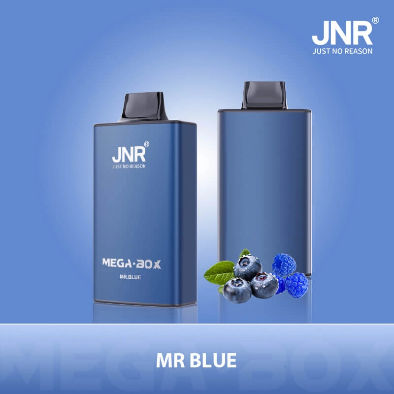 JNR Mega Box 25K Mr Blue Disposable Vape