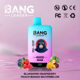 Bang Leader 45000 Puffs Disposable Vape – Performance, Power, and Endurance