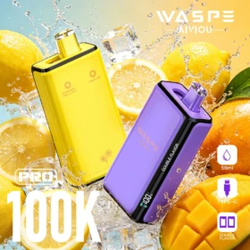 WASPE Double Flavor 100K Pro 100K Puffs 56ml E-Liquid 600mAh E-Zigarette Wholesale